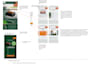 fix frontend and backend bugs in your website app or software